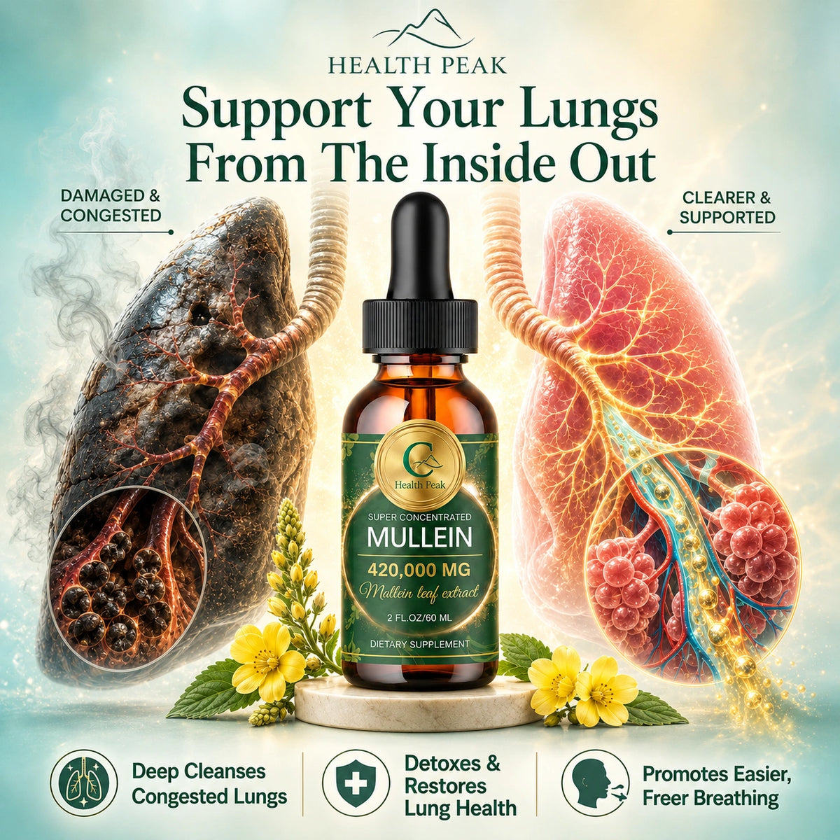 Health Peak™ Premium Mullein Extract:  Superior Potency Lung Cleanse, Real Results