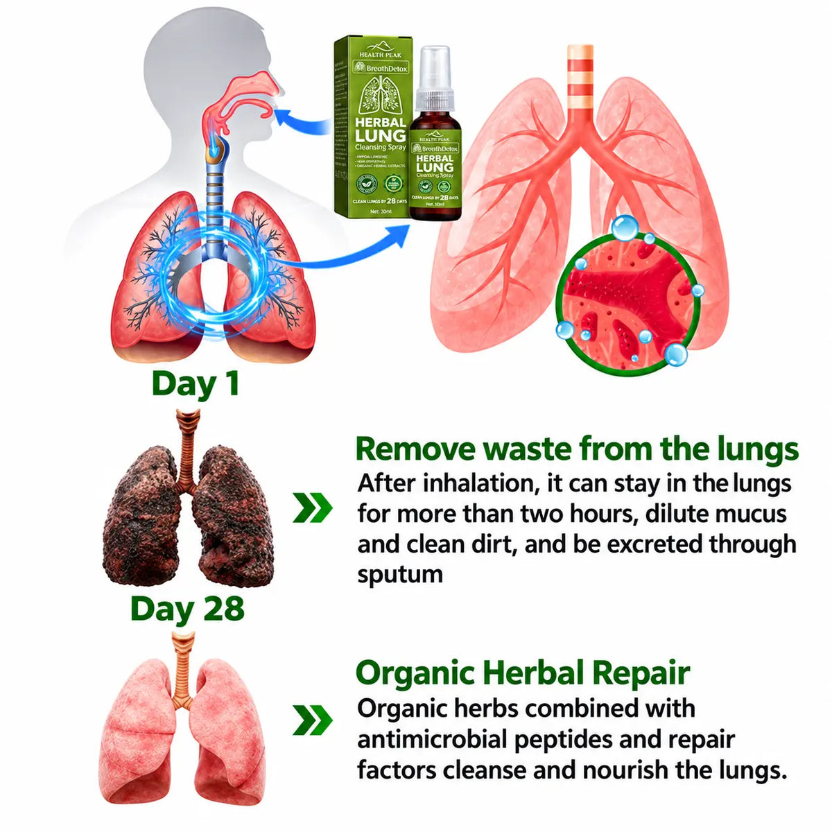 Health Peak™ Premium Organic Herbal Oral Spray: Superior Potency Lung Cleanse